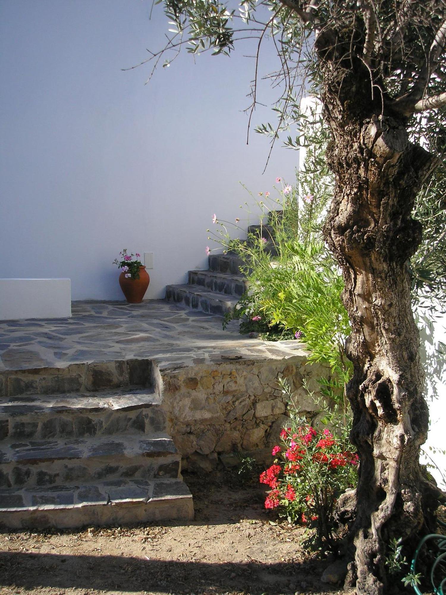 Casa Da Silveirinha ξενώνας Marvão Εξωτερικό φωτογραφία